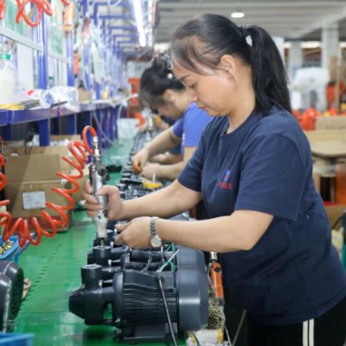 Zeyon Pumps Female Workers Assembling